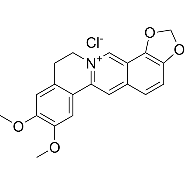 Epiberberine chloride图片