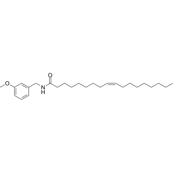 N-Benzyloleamide图片