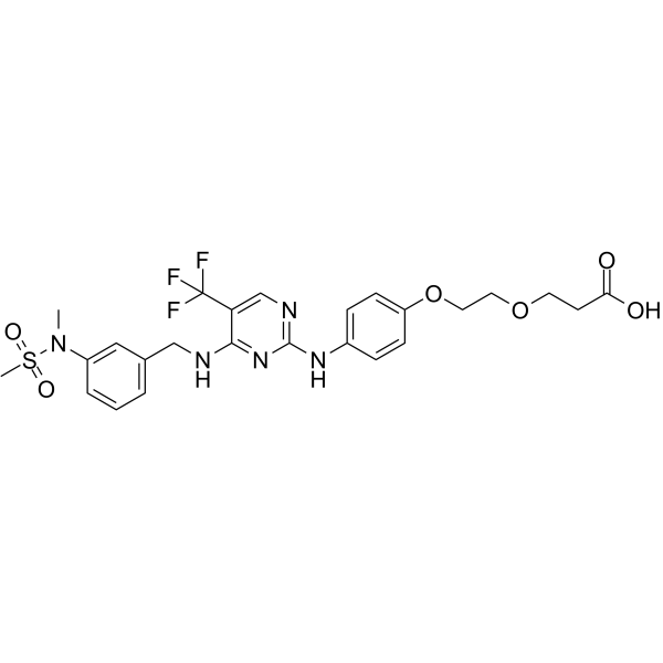 FAK ligand-Linker Conjugate 1图片
