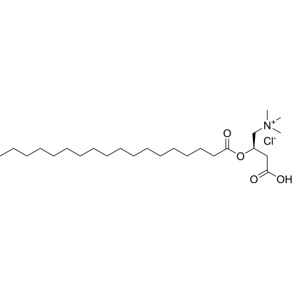 Stearoyl-L-carnitine chloride图片