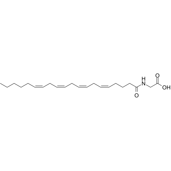 N-Arachidonylglycine图片