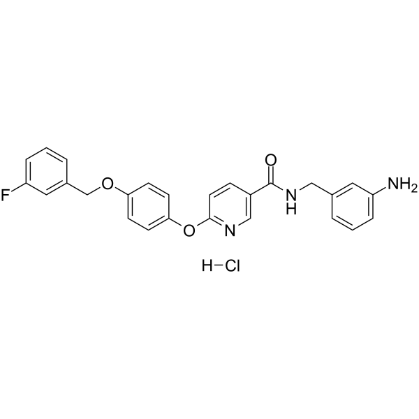 YM-244769 hydrochloride图片