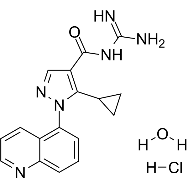 Zoniporide hydrochloride hydrateͼƬ