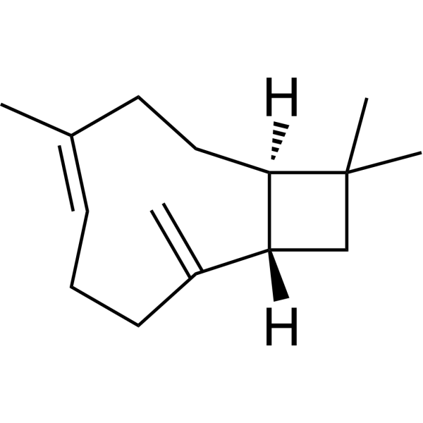 β-Caryophyllene图片