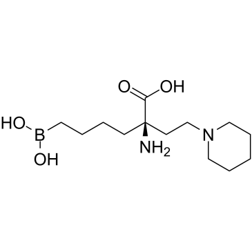 Arginase inhibitor 1图片