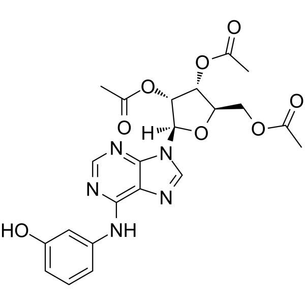 IMM-H007图片