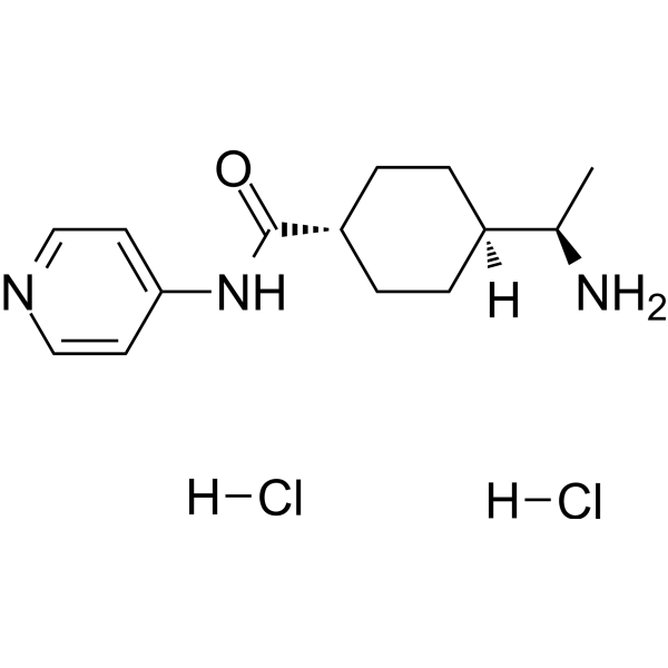 Y-27632 dihydrochloride图片