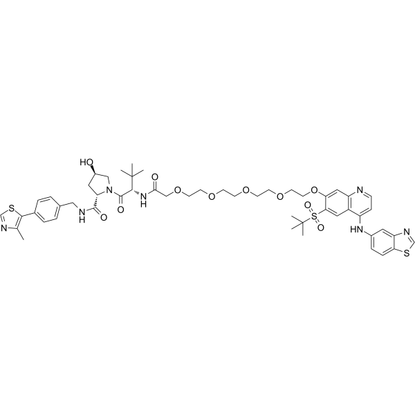 PROTAC RIPK degrader-2图片