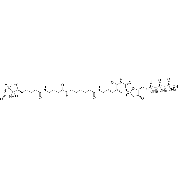 Biotin-16-dUTP trisodium图片