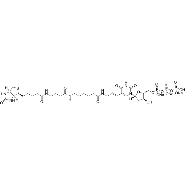 Biotin-16-dUTP trisodiumͼƬ