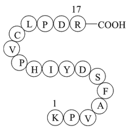 coagulation factor II(thrombin)B chain fragment [Homo sapiens]图片