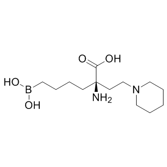 Arginase inhibitor 1图片