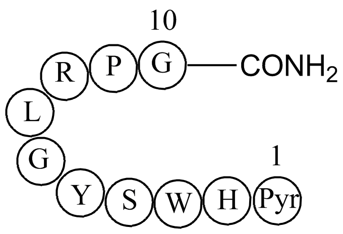 LUTEINIZING HORMONE RELEASING HORMONE HUMAN图片