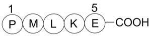 Bax inhibitor peptide P5图片