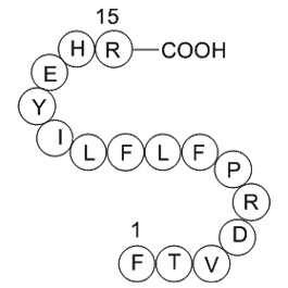 heparin cofactor II precursor(SERPIND1)fragment [Homo sapiens]图片