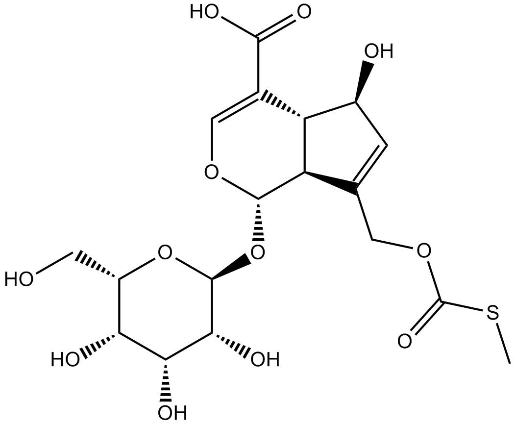 paederosidic acid图片