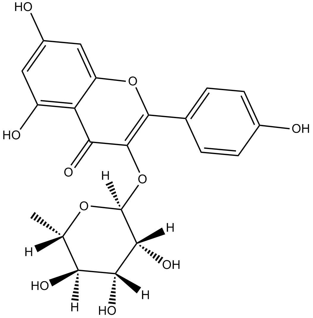 Kaempferol-3-O-glucorhamnoside图片
