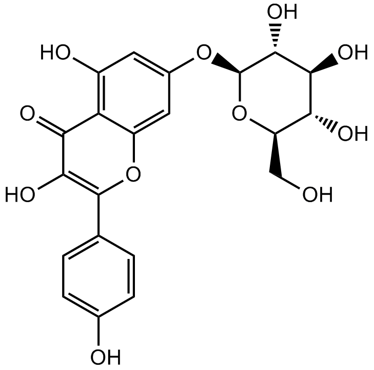 Kaempferol-7-O-β-D-glucopyranoside图片