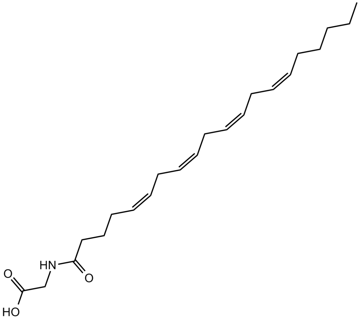 N-Arachidonylglycine图片