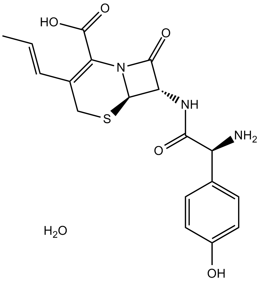 Cefprozil hydrate图片