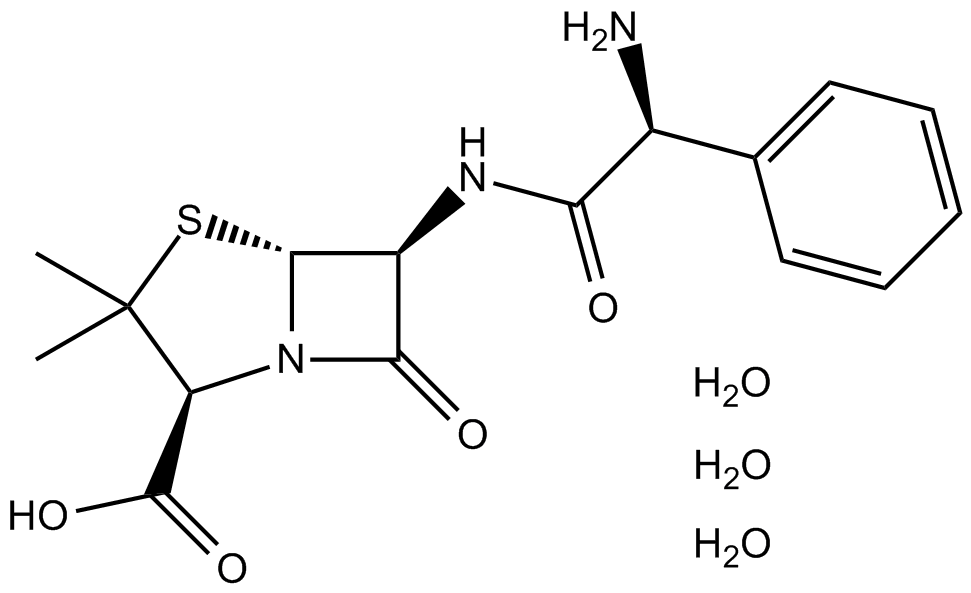 Ampicillin trihydrate图片
