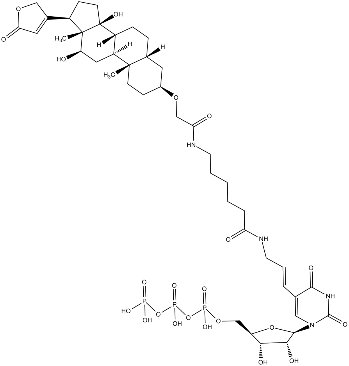 Digoxigenin-11-UTP图片