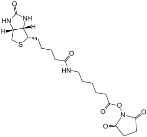 NHS-LC-Biotin图片