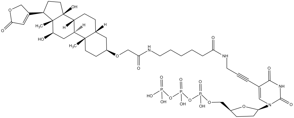 Digoxigenin-11-ddUTP图片
