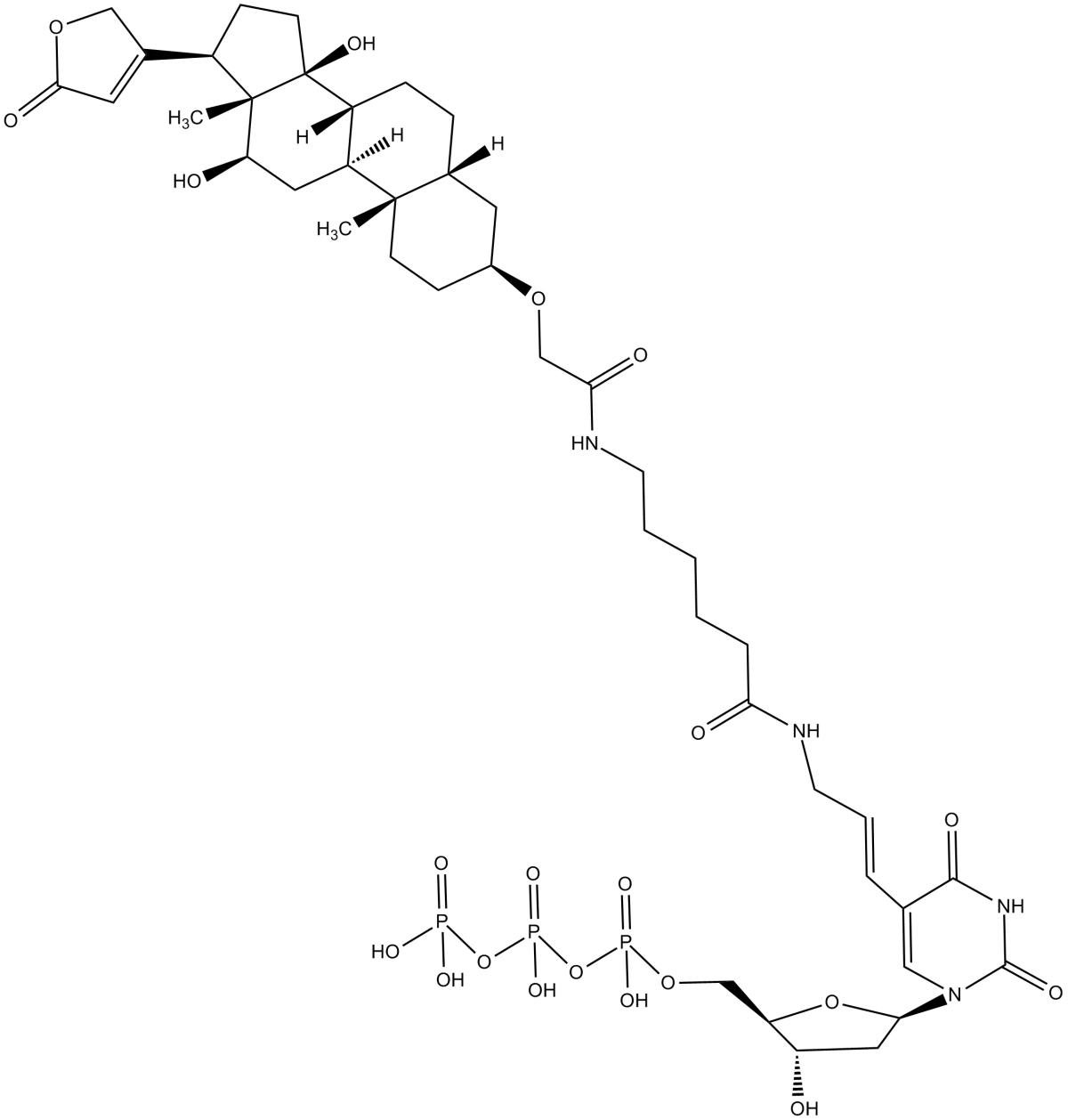 Digoxigenin-11-dUTP图片