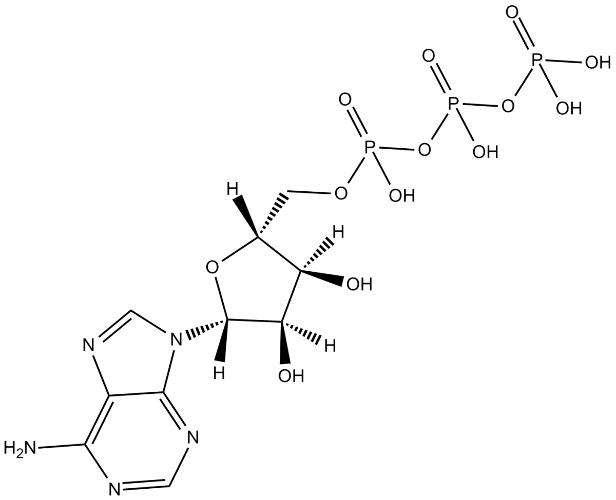 Adenosine 5-triphosphate图片