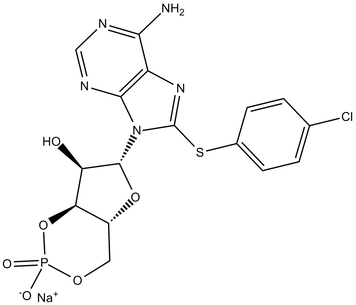 8-CPT-Cyclic AMP(sodium salt)图片