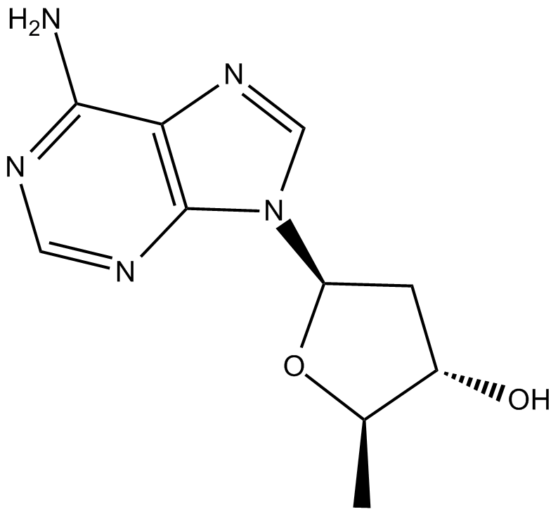 2',5'-dideoxy Adenosine图片