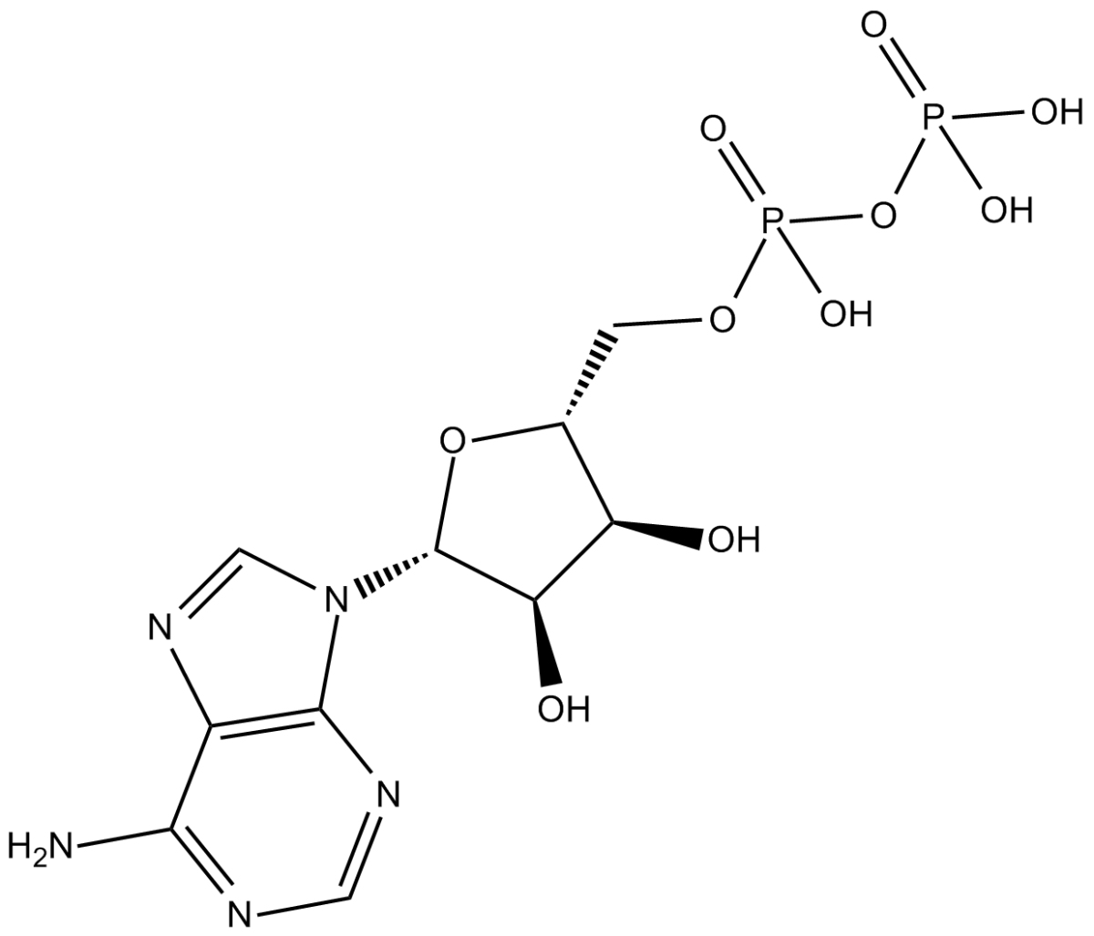 Adenosine-5'-diphosphate图片