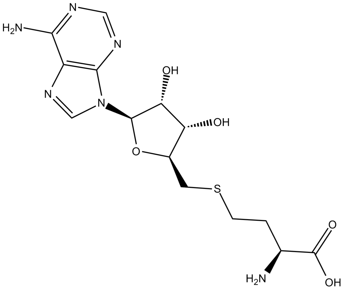 S-Adenosylhomocysteine图片