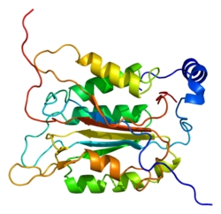 Caspase-1,mouse recombinant protein图片
