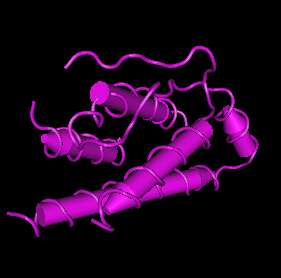 IL-2,human recombinant图片