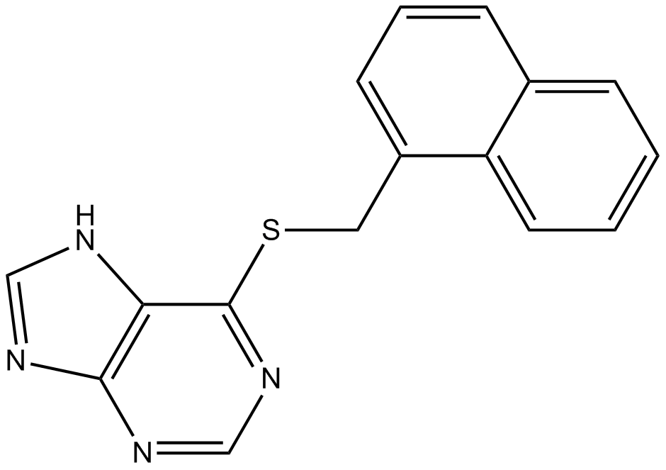 PU 02图片