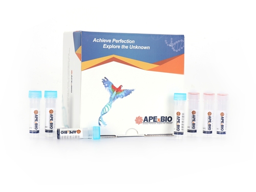 HyperScript(TM)First-Strand cDNA Synthesis Kit图片