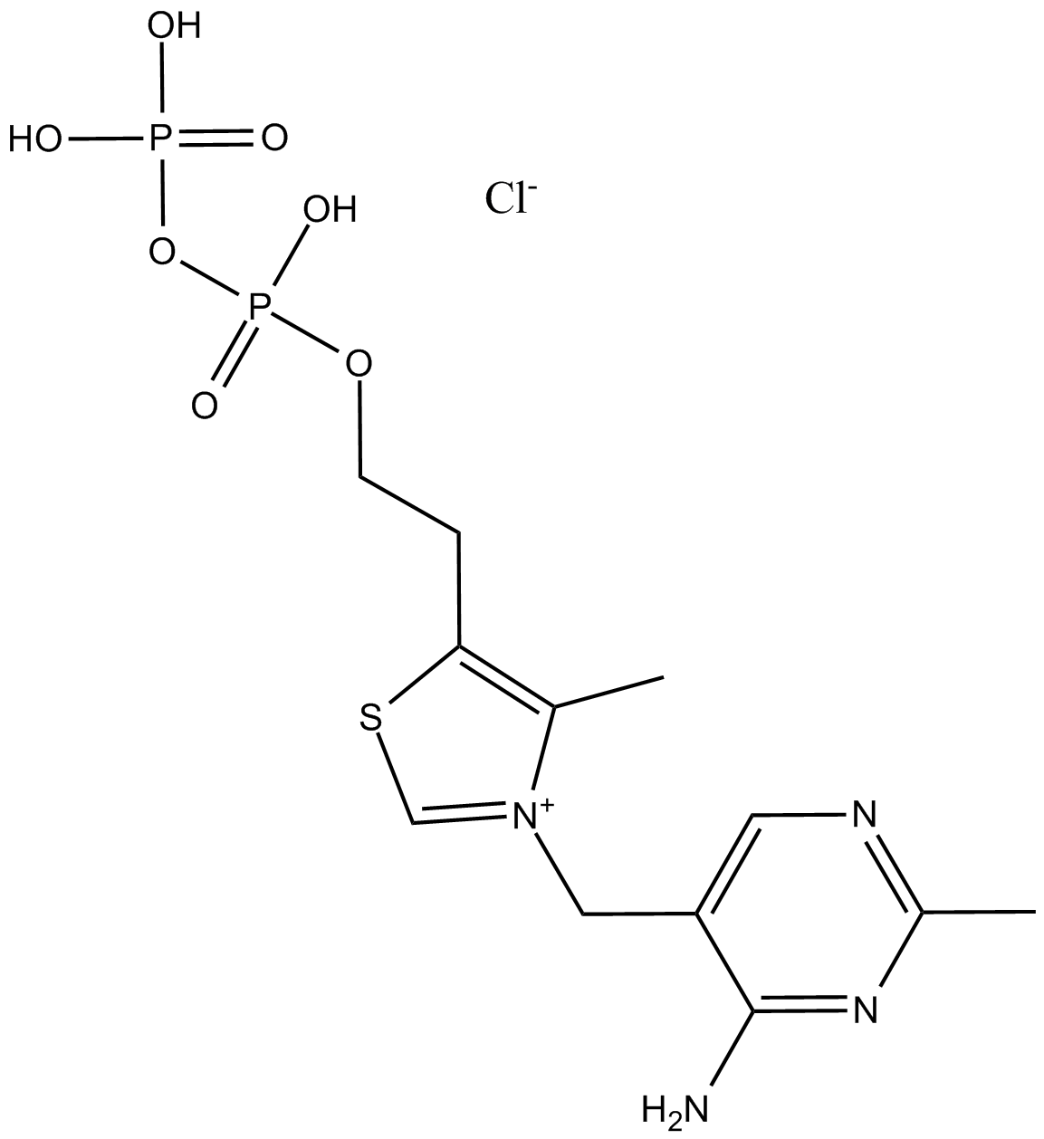 Thiamine pyrophosphate图片