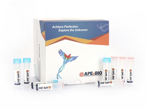 HyperScribe(TM)T7 High Yield Cy3 RNA Labeling Kit图片