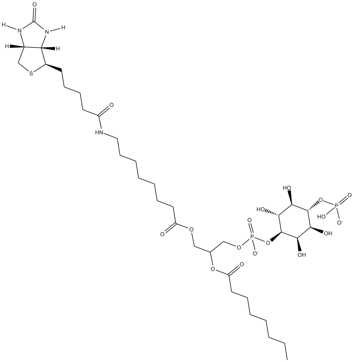 PtdIns-(4)-P1(1,2-dioctanoyl)-biotin(sodium salt)图片
