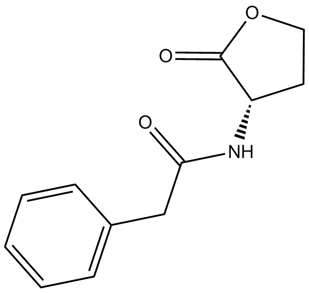 N-phenylacetyl-L-Homoserine lactone图片