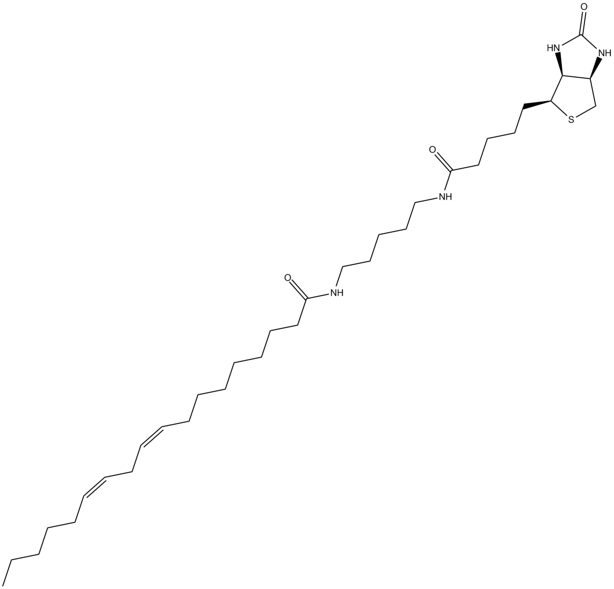 Linoleic Acid-biotin图片