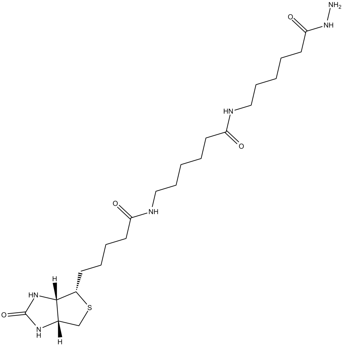 Biotin-XX hydrazide图片
