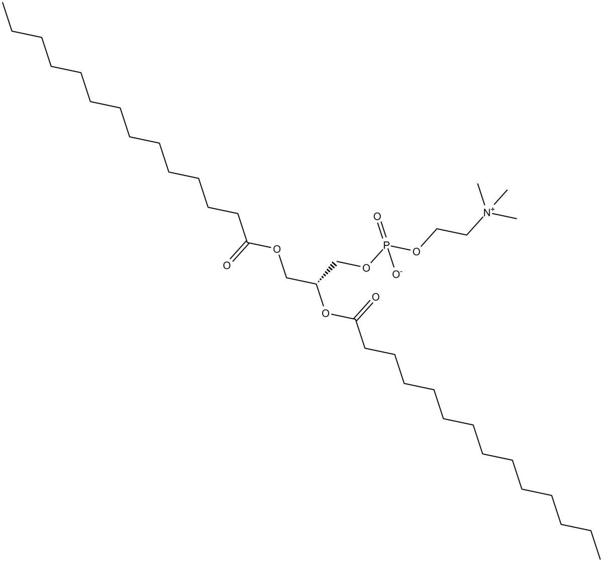 1,2-Dimyristoyl-sn-glycero-3-PC图片