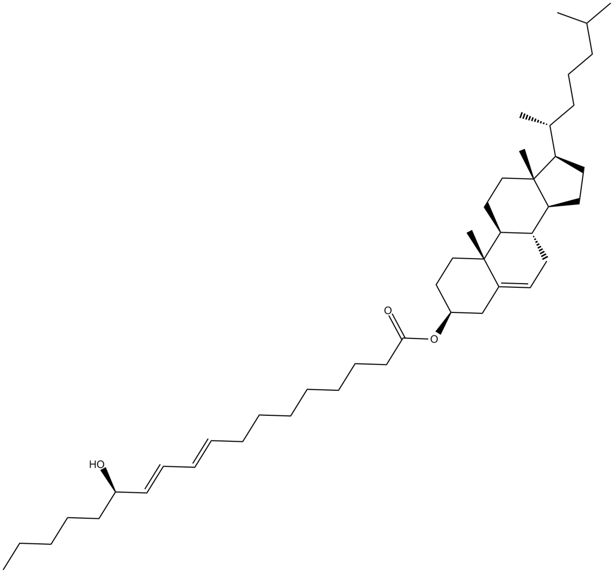 13(R)-HODE cholesteryl ester图片
