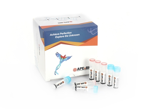 HyperScribe(TM)T7 High Yield RNA Synthesis Kit图片