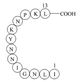 β-Interleukin II(44-56)图片