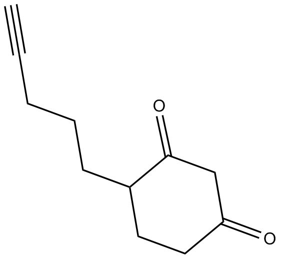 DYn-2图片