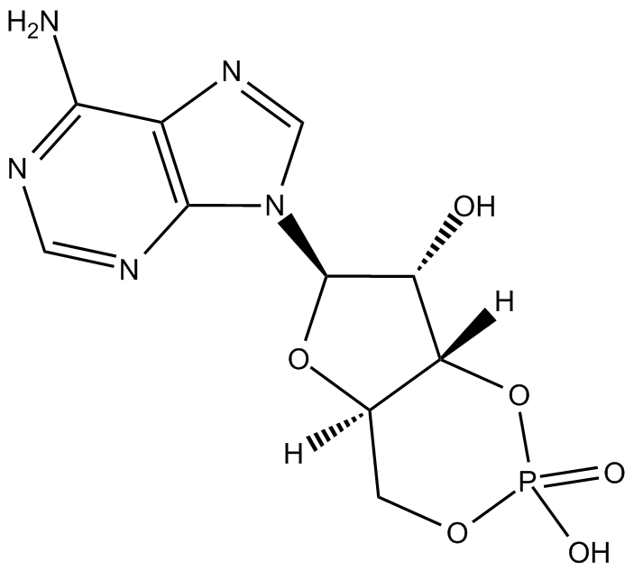 Cyclic AMP图片